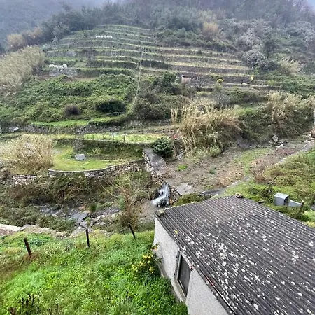 Dom wakacyjny Vernazza Vernazzola